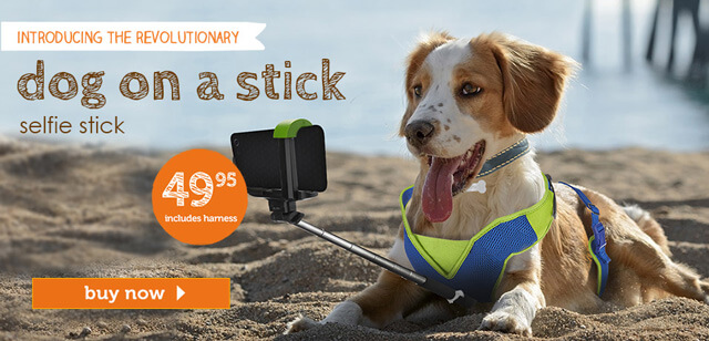 Click HERE to buy your dog selfie stick today!